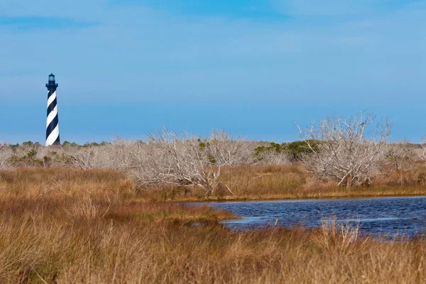 Cape Hatteras Lighthouse Torent Boven Moeras Wetland Van Outer Banks — Stockfoto