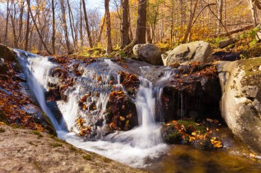 Shenandoah Ulusal Parkı, Virginia, VA, ABD sonbahar ormanlarındaki Rose River.