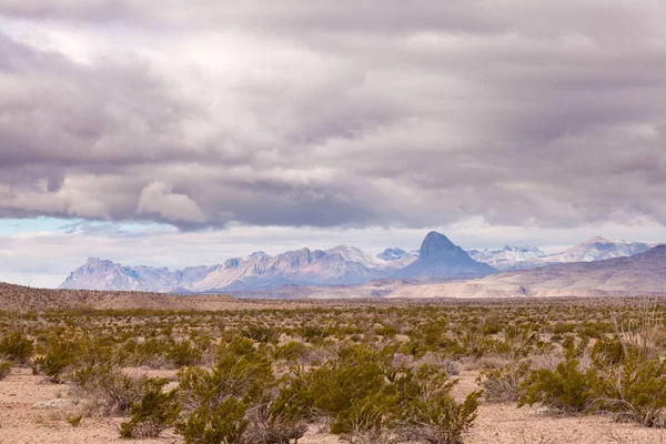 Φρέσκο Χιόνι Μακρινά Βουνά Chisos Τοπίο Στην Έρημο Chihuahuan Του — Φωτογραφία Αρχείου