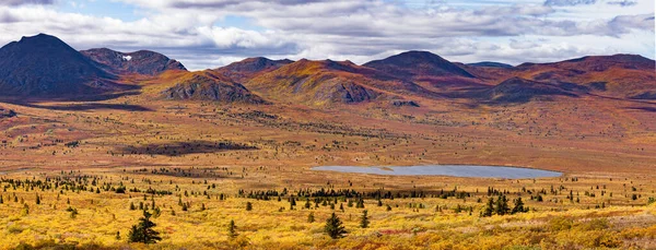 Panorama Höst Falla Färgad Alpin Tundra Bonneville Bergskedja Avlägsen Vildmark — Stockfoto