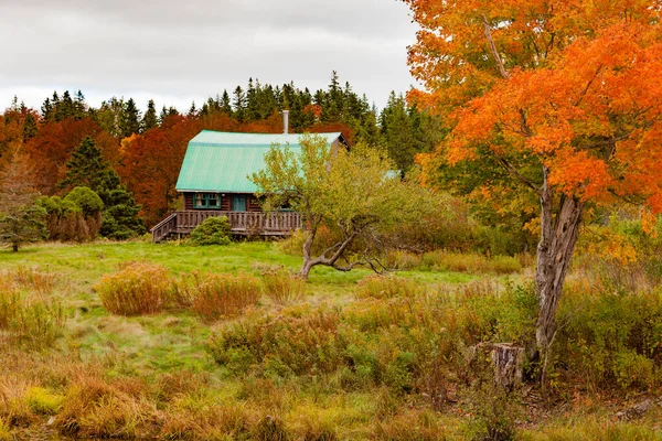 Vintage Casale Legno Autunno Rurale Autunno Foresta Selvaggia Paesaggio Della — Foto Stock