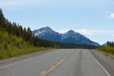 Alaska Highway Tayga vahşi Yukon Kanada