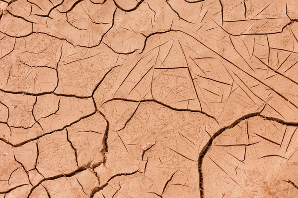 Cracked dry earth drought concept background — Stock Photo, Image