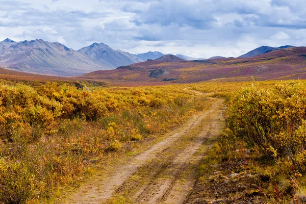 Pád barevné označení územní Park Yukon Kanada — Stock fotografie