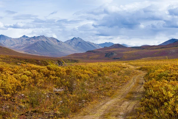 Ταφόπλακα εδαφική πάρκο Yukon του Καναδά χρώμα πτώσης — Φωτογραφία Αρχείου
