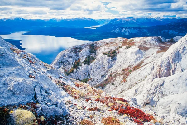 加拿大不列颠哥伦比亚省北部塔吉什湖 — 图库照片
