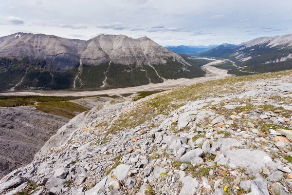 氷河の谷 Bc カナダのマクドナルド クリーク — ストック写真