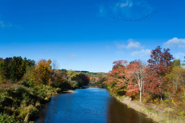 Pictou East River jesień krajobraz Nova Scotia Ns Kanada — Zdjęcie stockowe