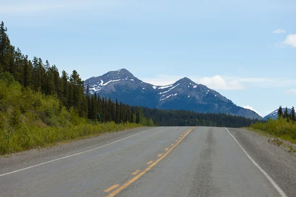 Pustyni Alaska Highway tajga Yukon Kanada Obrazek Stockowy