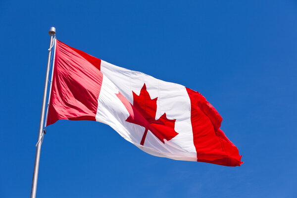 Canada flag maple leaf flies light wind Royalty Free Stock Images