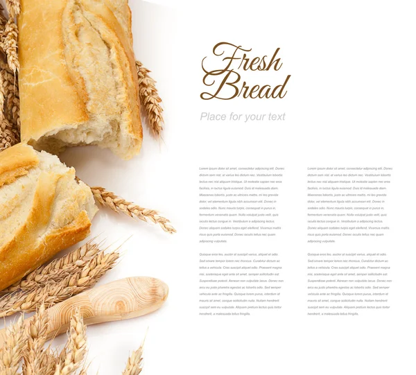 白色孤立的法式长棍面包 — 图库照片
