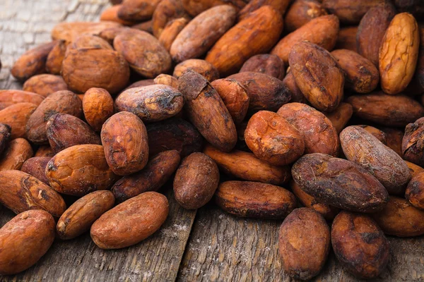 Granos de cacao en tocino de madera — Foto de Stock