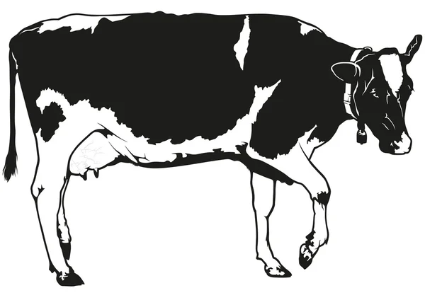 Vaca de leche moteada — Vector de stock