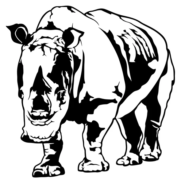 Rinoceronte preto e branco —  Vetores de Stock