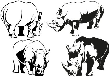 Gergedan çizimler dövme