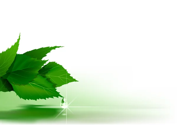 Gröna blad över vattenytan — Stock vektor