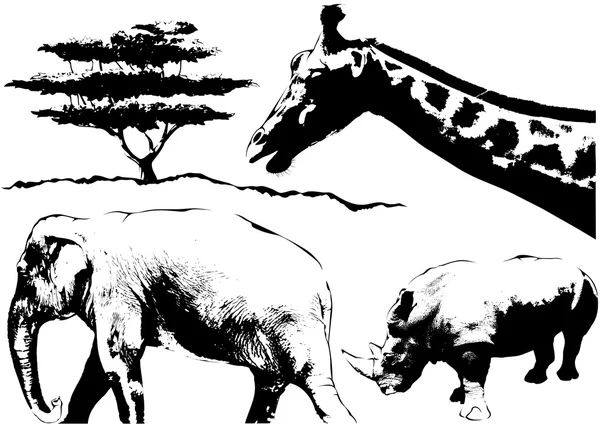 Schets van de Afrikaanse dieren — Stockvector