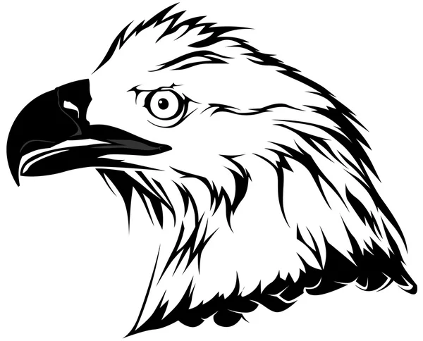 Cabeza de águila calva — Archivo Imágenes Vectoriales