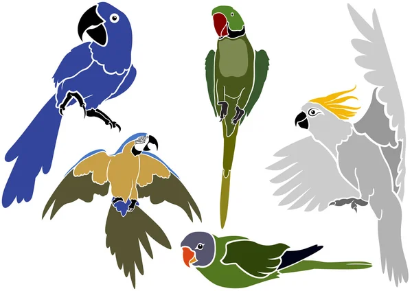 Serie di icone dei pappagalli — Vettoriale Stock