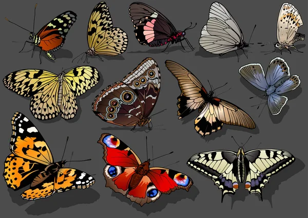 Набор Ярко Красочных Бабочек Изолированных Темном Фоне Иллюстрация Тенью Земле — стоковый вектор