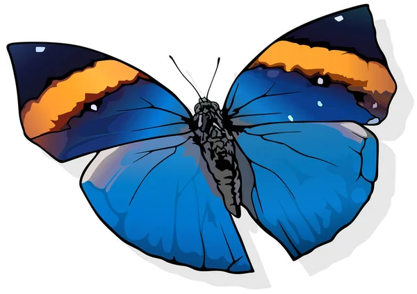 Turuncu Meşe Yaprağı Güzel Kelebek Kallima Nachus Beyaz Arkaplanda Zole — Stok Vektör