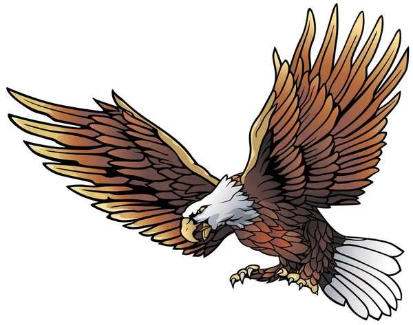 Flying Bald Eagle Colored Hand Drawn Illustration Isolated White Background — Stockový vektor