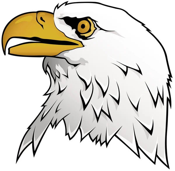 Bald Eagle Portret Izolowany Białym Tle Ilustracja Graficzna Wektor — Wektor stockowy