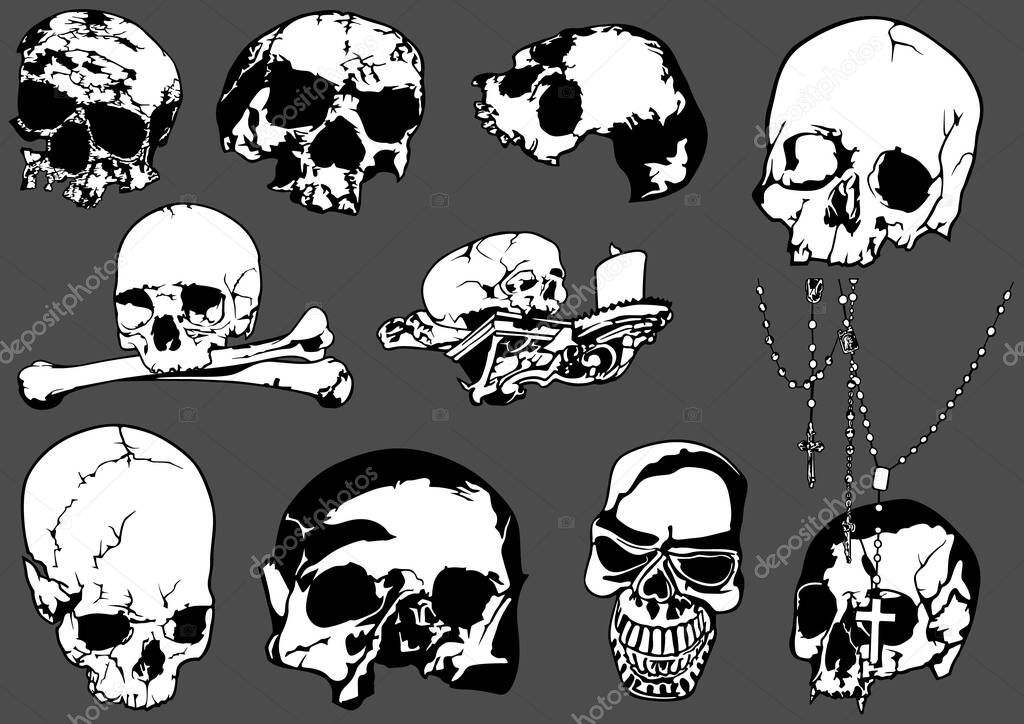 Set of Black and White Human Skulls Isolated on Gray Background - Design Element Illustrations, Vector