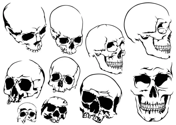 Set Black White Human Skulls Isolated White Background Design Element — Vector de stock