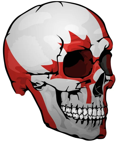 Bandera Canadiense Pintada Sobre Cráneo Elemento Diseño Con Colores Nacionales — Archivo Imágenes Vectoriales