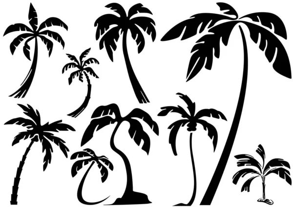 Silhouettes Tropical Palm Trees Black Illustrations Isolated White Background Vector — Stock Vector