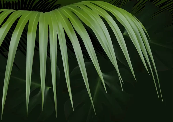 Fondo Oscuro Con Hojas Tropicales Ilustración Color Con Vegetación Densa — Vector de stock