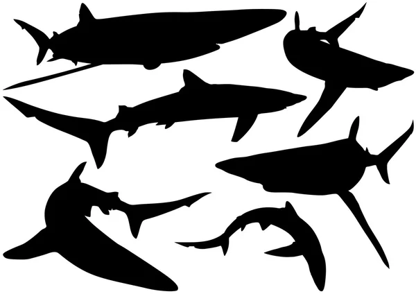 Blue Shark Silhouettes — Stock Vector