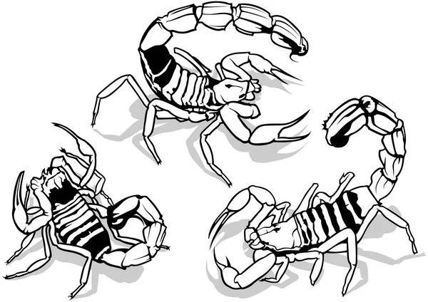 黄色 Fattail 蝎子 — 图库矢量图片