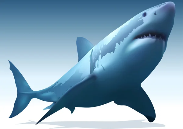 大白鲨 — 图库矢量图片