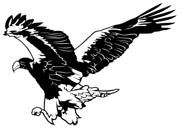 Aquila volante in bianco e nero — Vettoriale Stock