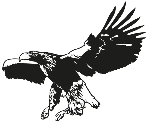 Aigle volant noir et blanc — Image vectorielle