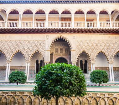 Seville Alcazar Bahçe