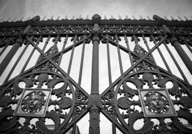 Kraliyet Sarayı kapısı detay