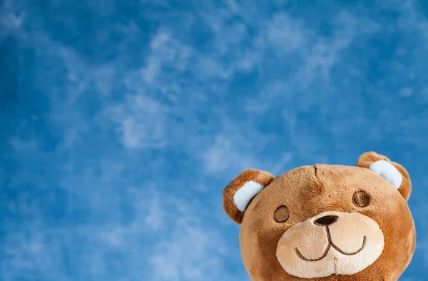 Urso de pelúcia adorável — Fotografia de Stock