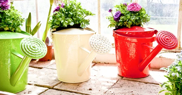 Garden - Watering can — Stock Photo, Image