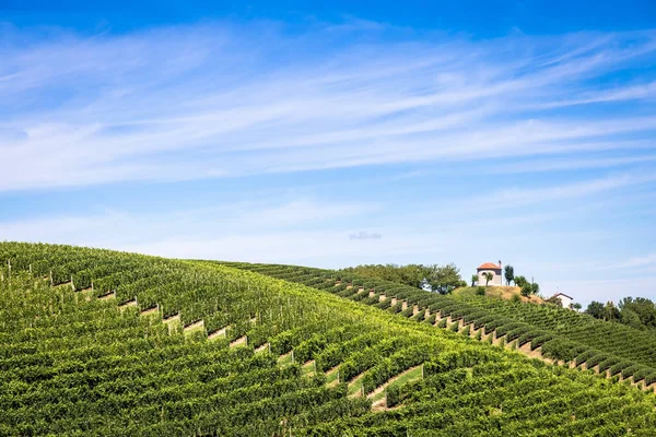 Asti イタリア Circa 2020年8月 イタリアのピエモンテ州の丘 モンフェラート地域 ブドウ畑のある夏の季節の間の風景の田舎 素晴らしい青空を背景に — ストック写真