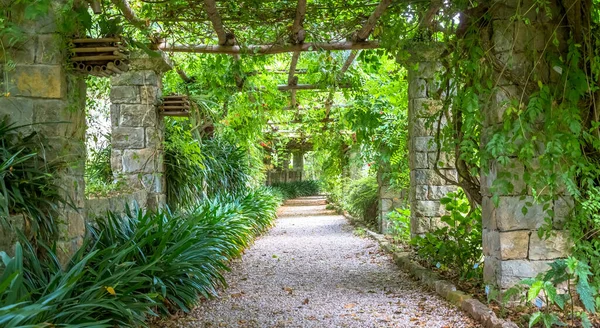 Garden Pergola Structure Bright Colors Late Summer Season Architecture Design — Stock Photo, Image