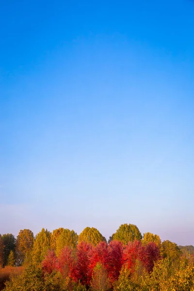Herbstzeit Mit Blauem Himmel Und Herrlichem Tageslicht — Stockfoto