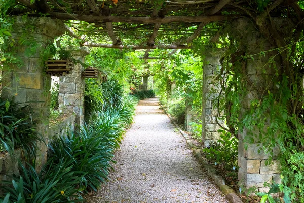 Giardino Con Struttura Pergola Dai Colori Vivaci Durante Fine Della — Foto Stock