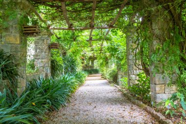 Pergola yapısı olan bahçe yaz sonlarında parlak renklerle kaplandı. Bu mimari ve tasarım doğadan ilham almıştır..
