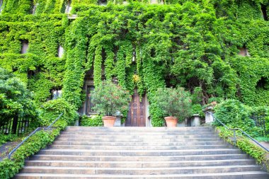 MILAN, ITALY - CIRCA AĞUSTOS 2020 - Bu eski İtalyan binasının doğa ve emlak entegrasyonu