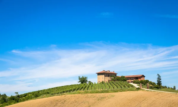 Asti Italien Circa August 2020 Piemonteberg Italien Monferrato Området Naturskönt — Stockfoto