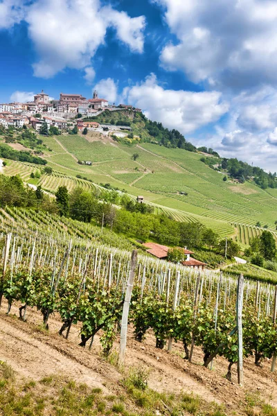 Morra Aldeia Tradicional Perto Barolo Alba Região Piemonte Itália — Fotografia de Stock