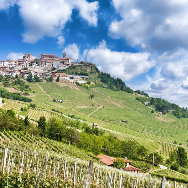 Morra Vagyok Hagyományos Falu Közel Barolo Alba Piemonte Régió Olaszország — Stock Fotó